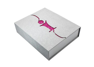 Dimensioni d'argento 22 * 30 * 7CM di colore stampata abitudine di classe dei contenitori di regalo di stile fornitore