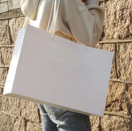 comprare I sacchi di carta bianchi normali riutilizzabili, sacchi di carta su ordine lisciano il bordo molle fabbricazione online