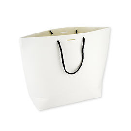 Laminazione tenuta in mano del cartone di Spalla-Straddle moderno della borsa impermeabile fornitore