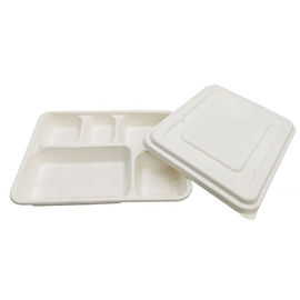 Good price Del contenitore biodegradabile di alimento di colore del commestibile della canna da zucchero della polpa del materiale inquinamento bianco non in linea